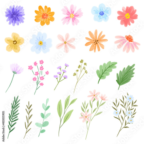 watercolor flower and leaf clipart set
