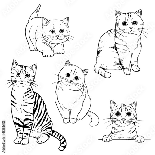 Collection of cute cats hand drawn with contour lines on white background. Monochrome vector illustration.