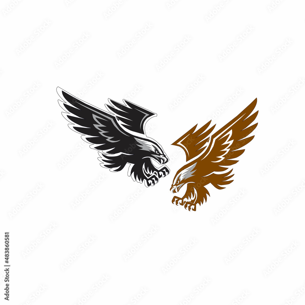 Obraz premium eagle in flight