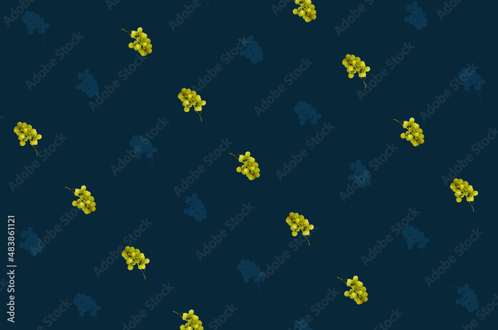 Colorful fruit pattern of fresh grapes on dark blue background. Top view. Flat lay. Pop art design Colorful fruit pattern of fresh grapes on dark blue background. Top view. Flat lay. Pop art design