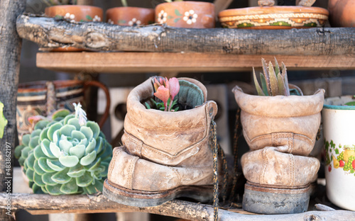 planta maceta de zapato bota