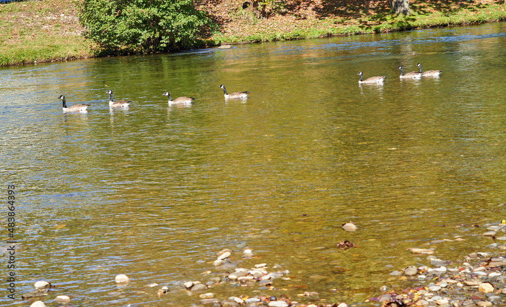 Obraz premium Cherokee NC 