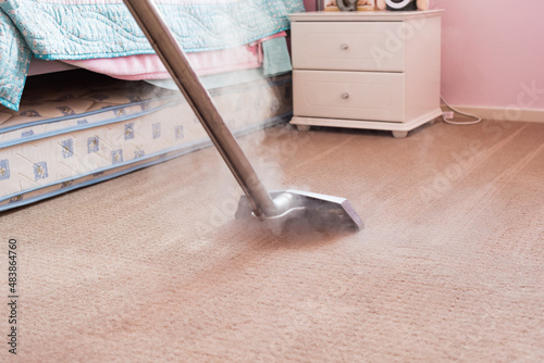 Carpet Steam Cleaning - professional carpet cleaning in the home	