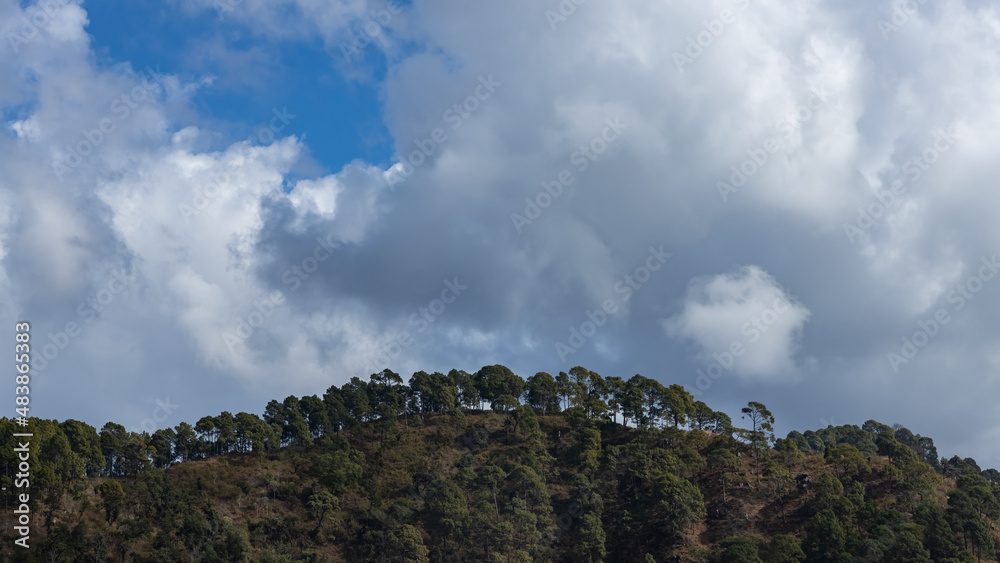 Row of trees on top of a hill with clouds forming in the background