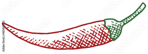 Hand-drawn hot cayenne pepper