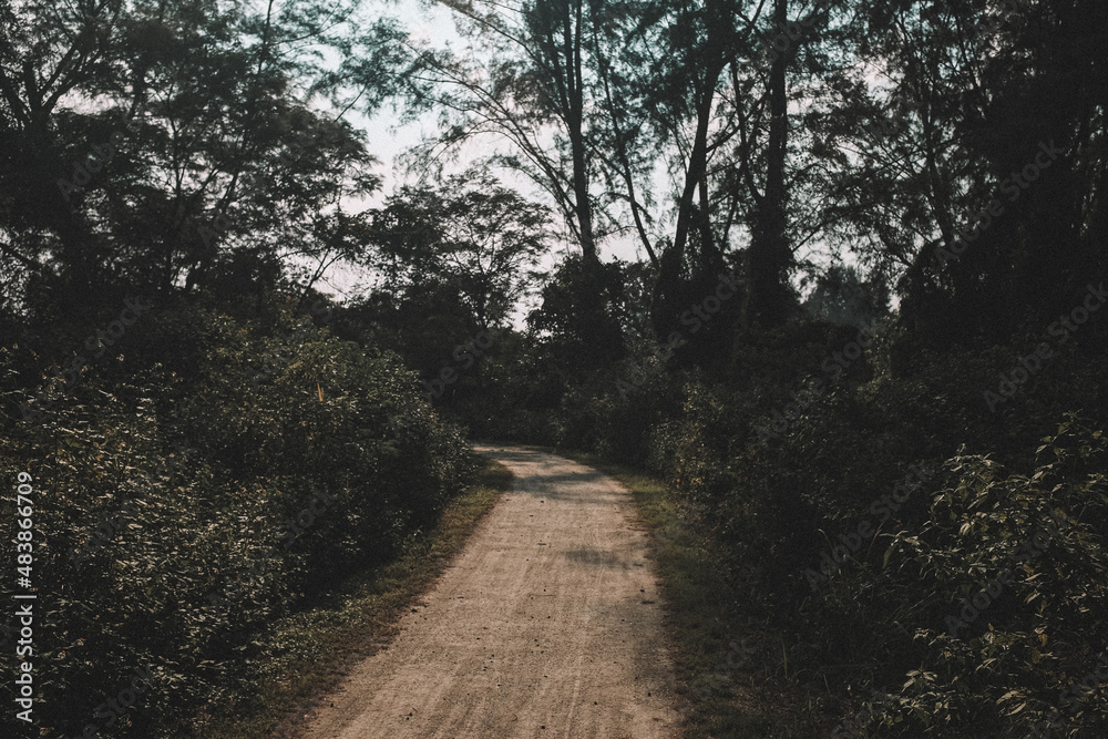 Obraz premium sunset in the park