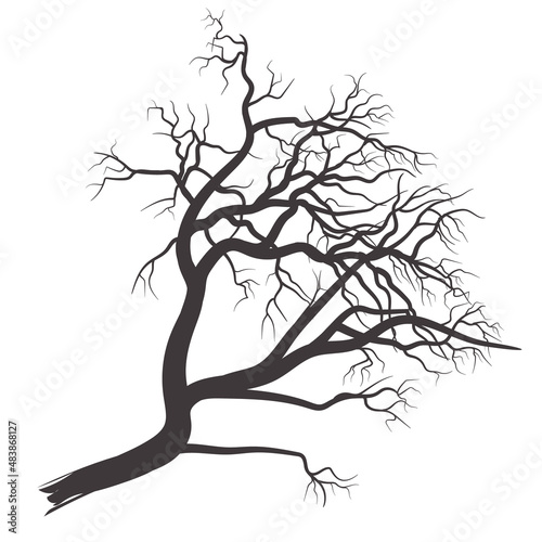 Fototapeta Naklejka Na Ścianę i Meble -  Hand drawn dead branch tree silhouette