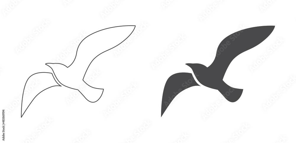 Obraz premium seagull bird fly