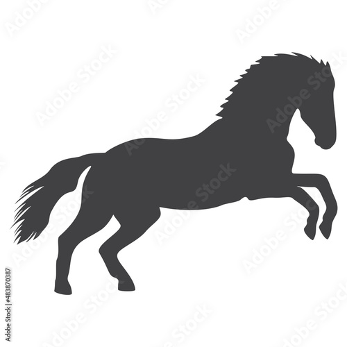 Horse silhouette  icon. Vector illustration on a white background.