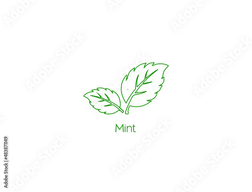 mint spices icon vector illustration 