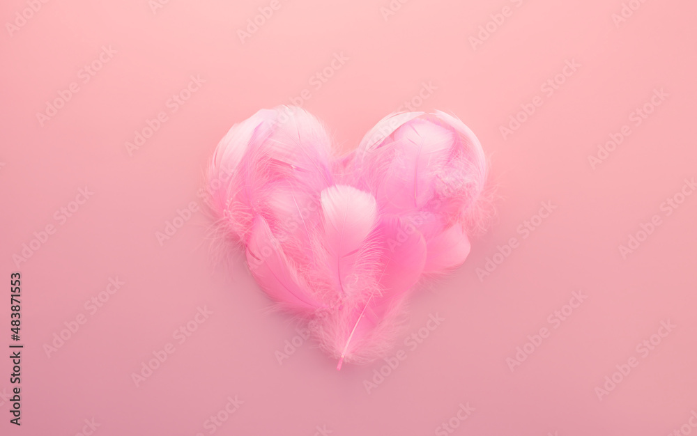 Pink feathers heart on a pink background. Creative Valentine day card