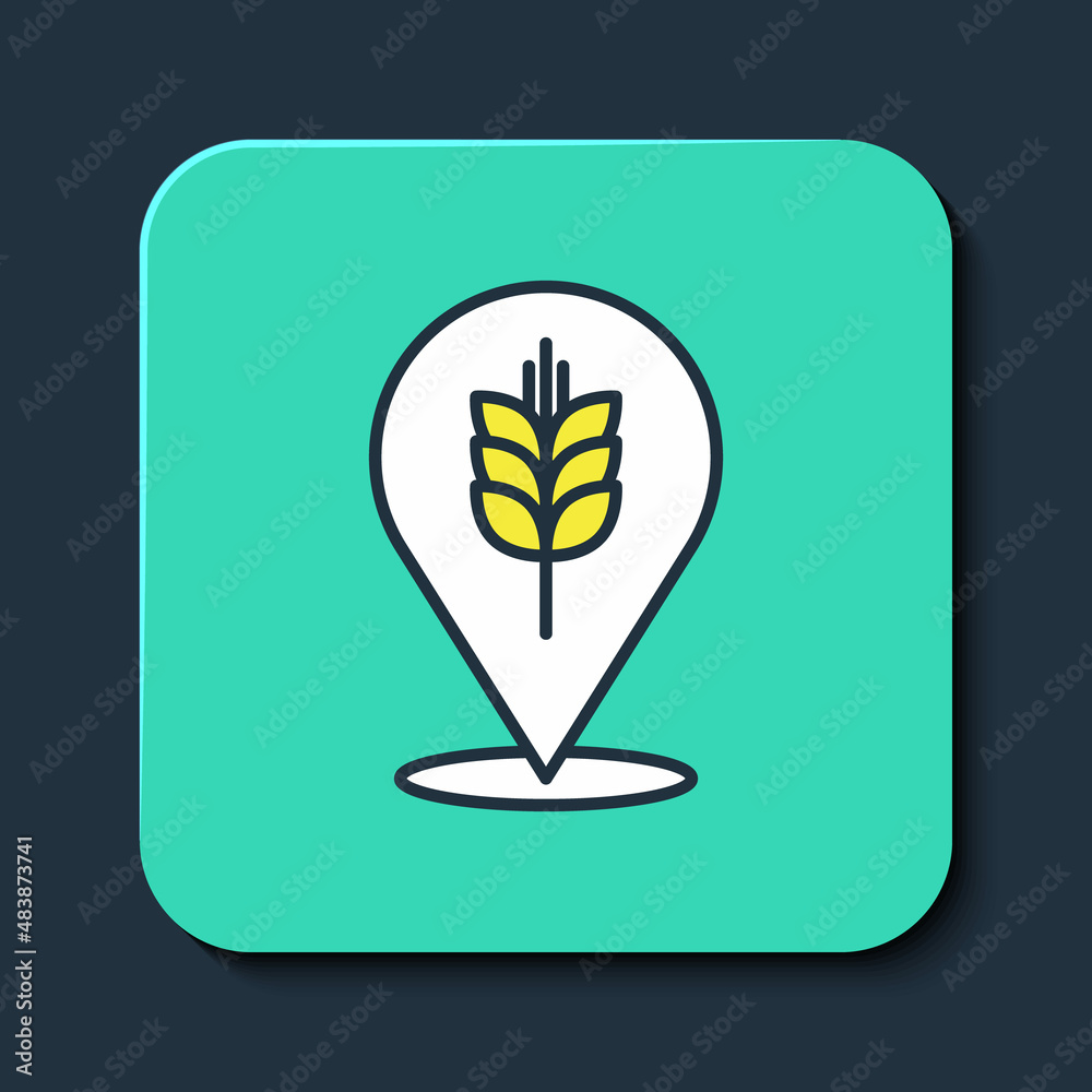 Filled outline Cereals set with rice, wheat, corn, oats, rye, barley icon isolated on blue background. Ears of wheat bread symbols. Turquoise square button. Vector Filled outline Cereals set with rice, wheat, corn, oats, rye, barley icon isolated on blue background. Ears of wheat bread symbols. Turquoise square button. Vector