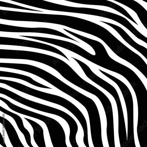 Trendy zebra skin pattern background vector. Animal fur  vector background for Fabric design  wrapping paper  textile and wallpaper. 