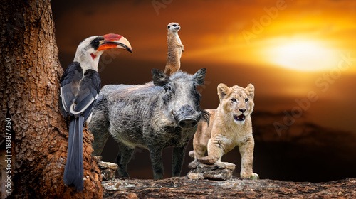 African animals lion, hornbill, meerkat, warthog on savanna sunset background