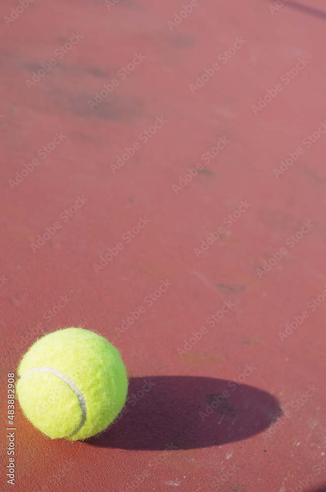 テニスボールのアップ