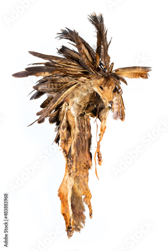Replica of an old bonnet made of fox fur and buzzard feathers from the North American Indians © janny2
