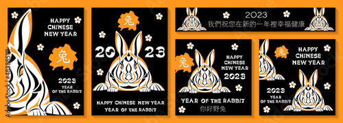 Set of banners with rabbits for Chinese New Year. Chinese translation: we wish you happiness and health in the coming year, hello hare, Vector illustration.