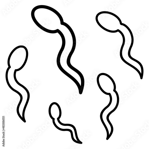 Fertilization