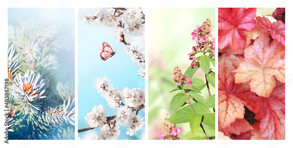 Four seasons of year. Set of vertical nature banners with winter ...