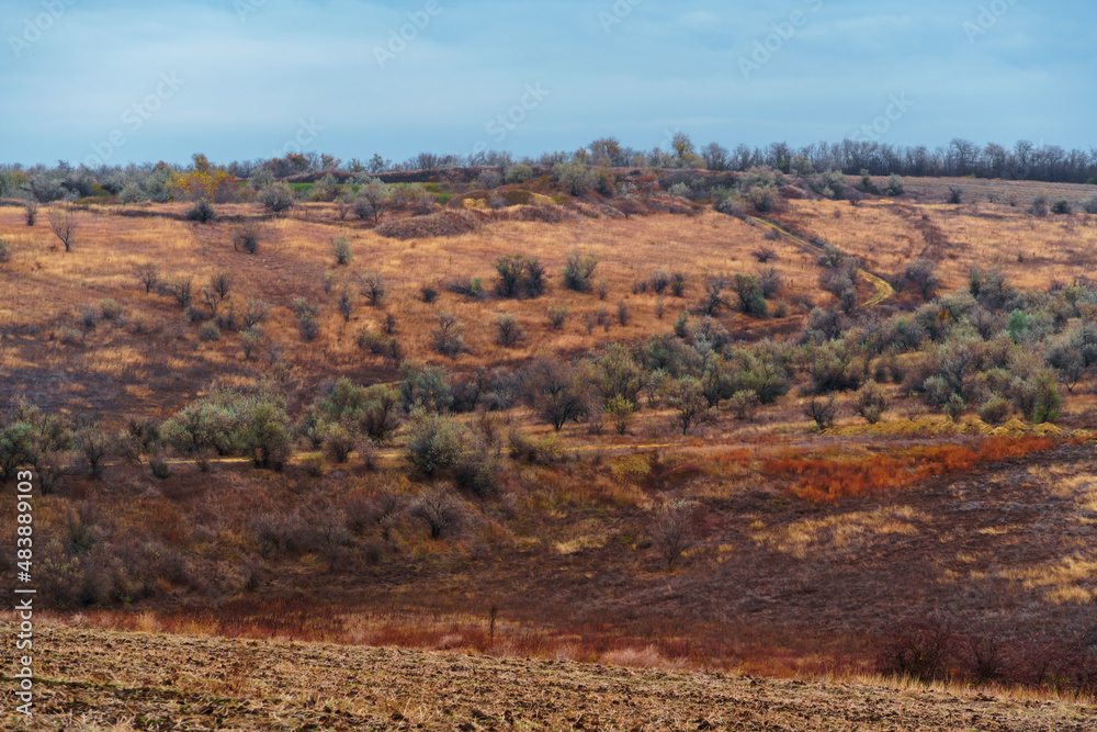 beautiful wild landscape, late autumn, colorful dry grass and trees, cloudy weather beautiful wild landscape, late autumn, colorful dry grass and trees, cloudy weather