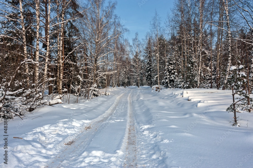 The road in the winter January forest The road in the winter January forest