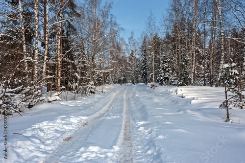 The road in the winter January forest © Valery Kleymenov