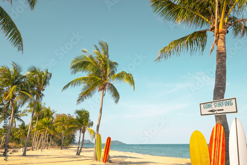 Surfboard and palm tree on beach with beach sign for surfing area. Travel adventure and water sport. relaxation and summer vacation concept. vintage color tone image. © jakkapan