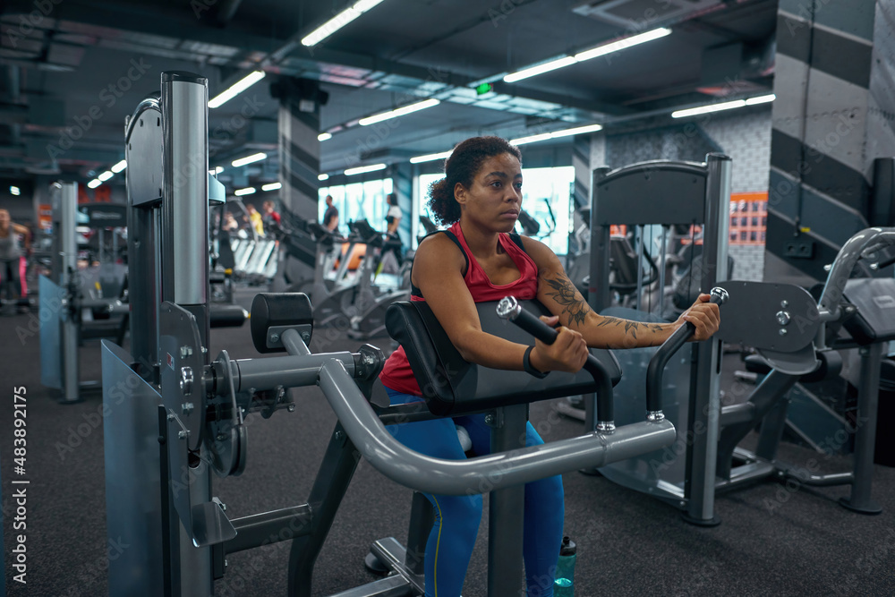 Fototapeta premium Girl lift weight on training apparatus for biceps