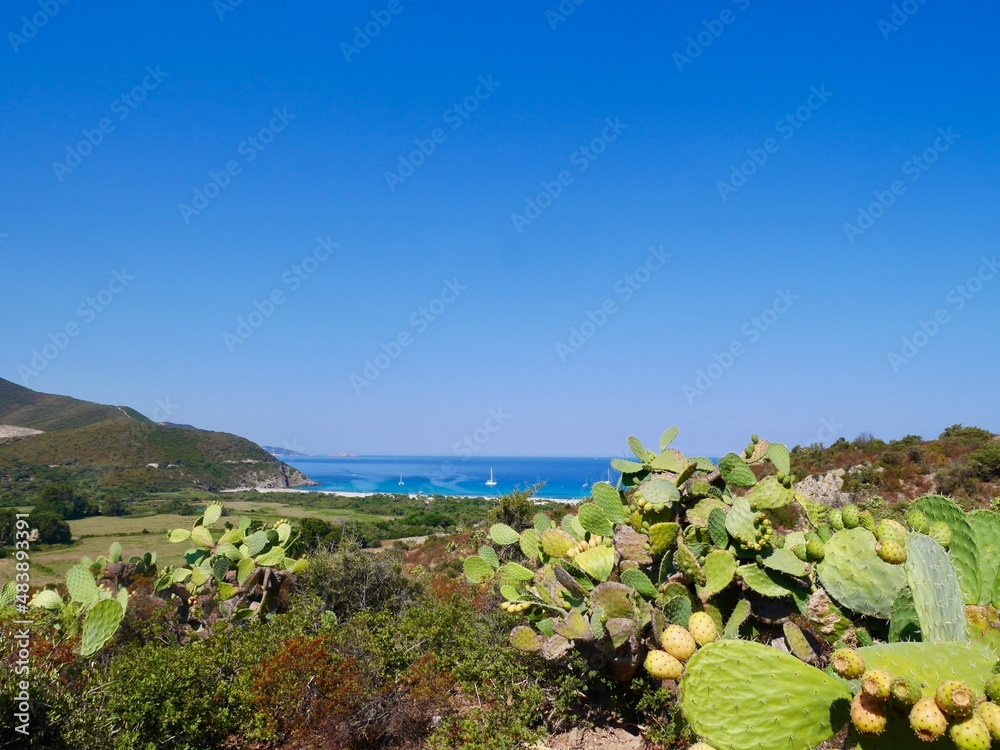 Panoramic view of Ostriconi beach seen from Desert des Agriates. Corsica, France.