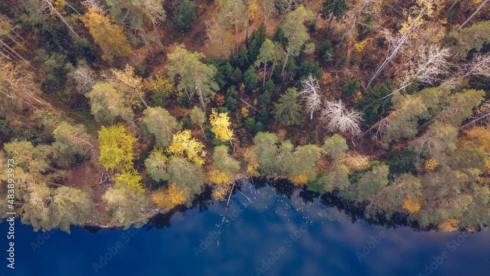 Aerial drone view on Yastrebinoe lake and cliffs. Beautiful season landscape with a lake or river water and larch trees. Russia, Karelia.