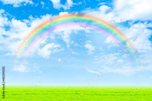 草原と青空と虹