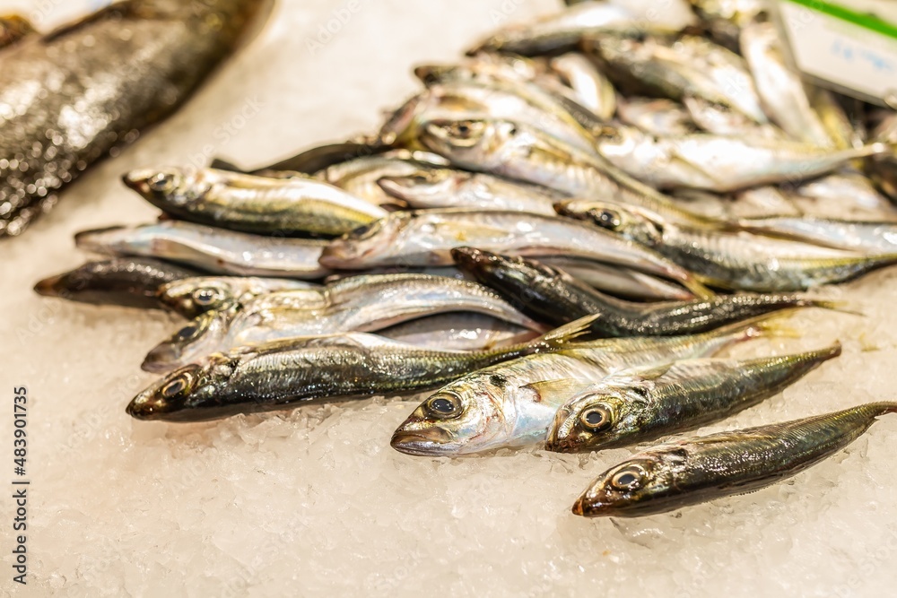 Atlantic horse mackerel (Trachurus trachurus) on ice in a market in Vigo (Spain). Atlantic horse mackerel (Trachurus trachurus) on ice in a market in Vigo (Spain).
