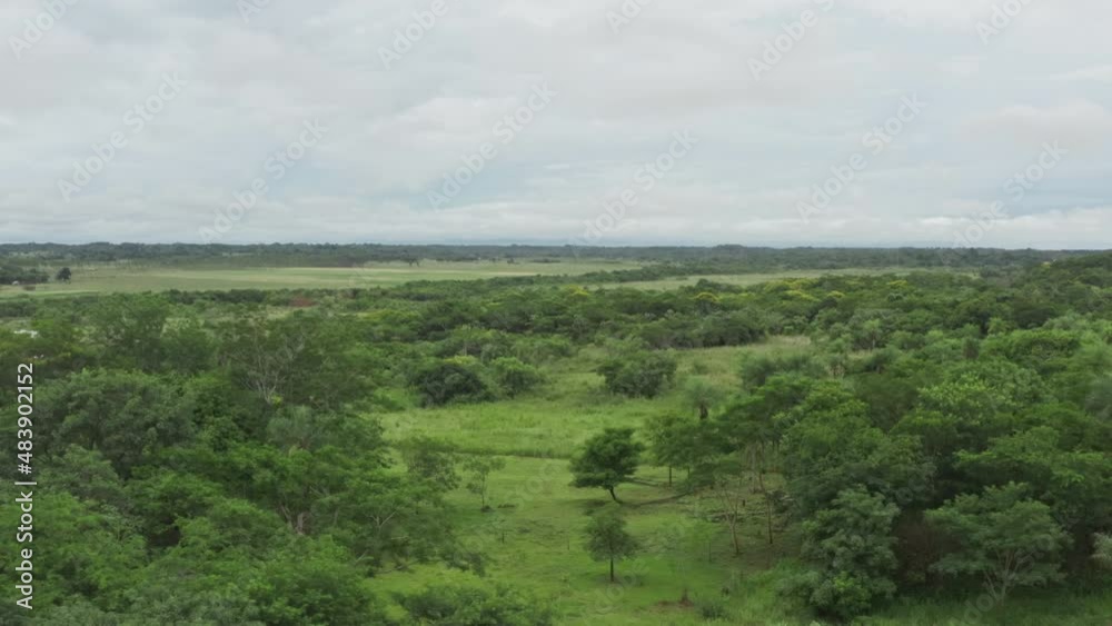 Aerial view of the nature of Paraguay. Forests with trees and fields with agro fields for growing vegetables in a beautiful landscape. Aerial view of the nature of Paraguay. Forests with trees and fields with agro fields for growing vegetables in a beautiful landscape.