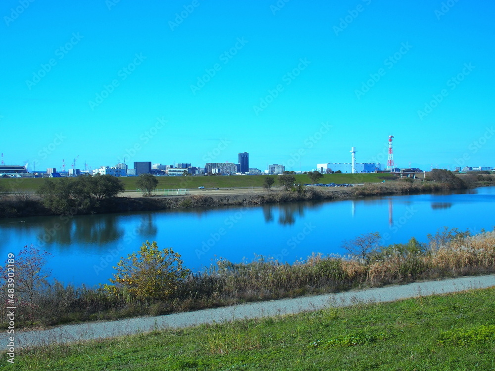 冬の土手から見る枯れた荻原のある江戸川と対岸風景