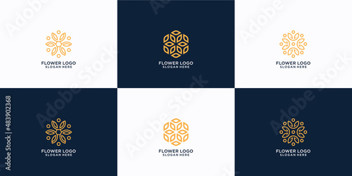 Minimalist flower logo ornament with line art style.