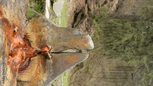 Iron mineral water spring spouting out of stone. Tesikov Czech Republic