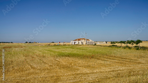 Country landscape near Siponto, Apulia, Italy