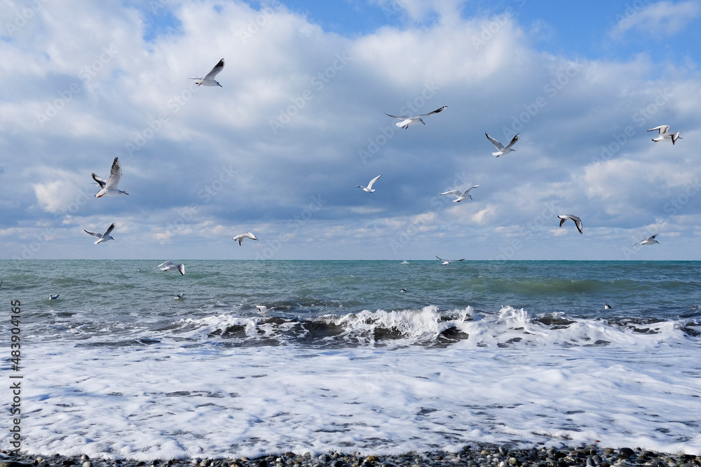 Many seagulls fly over the sea during the day. Waves and sea foam on the sea. A flock of seagulls in the blue sky. High quality photo