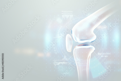 Medical poster image of the bones of the knee, the joint in the knee. Arthritis, inflammation, fracture, cartilage,. Copy space, 3D illustration, 3D render. photo