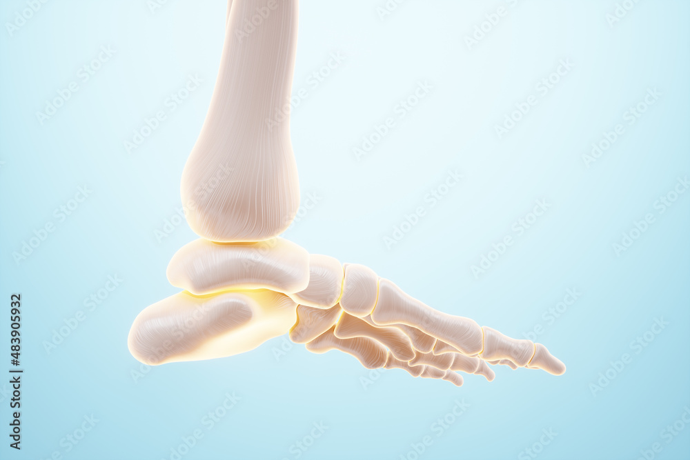 Medical poster image of the bones of the foot. Arthritis, inflammation, fracture, cartilage,. Copy space, 3D illustration, 3D render. Medical poster image of the bones of the foot. Arthritis, inflammation, fracture, cartilage,. Copy space, 3D illustration, 3D render.