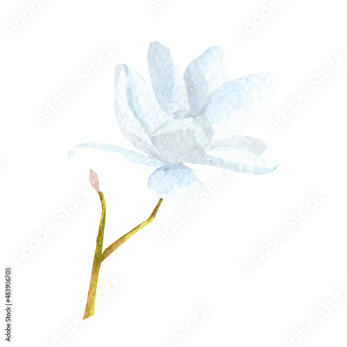 Blue flower watercolor illustration. Hand drawn blossom illustration isolated on white background. Garden floral for wedding invite, baby shower decor, logo