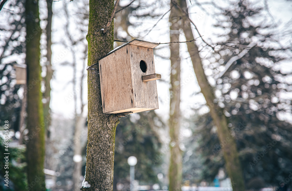 Wooden feeder-house for birds in the forest on a tree. Wooden feeder-house for birds in the forest on a tree.