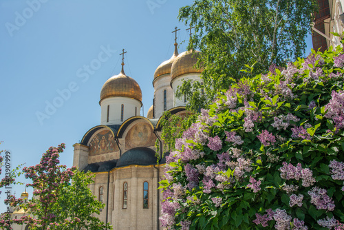 The Cathedral of the Dormition or Assumption Cathedral built in 1300's Cathedral Square of the Moscow Kremlin, seen through the lilac tree in summer, Russia