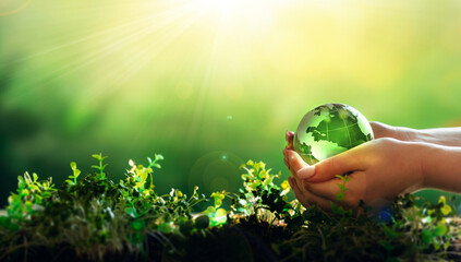 Environment day, save clean planet, ecology concept. Earth Day.Hand holding crystal earth globe.Renewable energy-based green businesses can limit climate change and global warming.