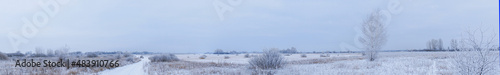 Panorama Overgrowth, bushes, trees and meadow in snow and magical frost. Winter fairy-tale landscape © pro2audio