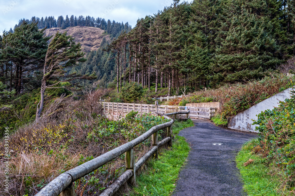 Wood fencing on the Captain Cook Trail at Cape Perpetua State Park in Oregon, USA