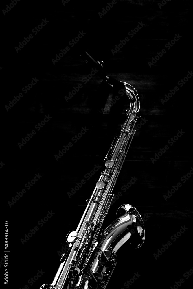 Obraz premium Saxophone BG