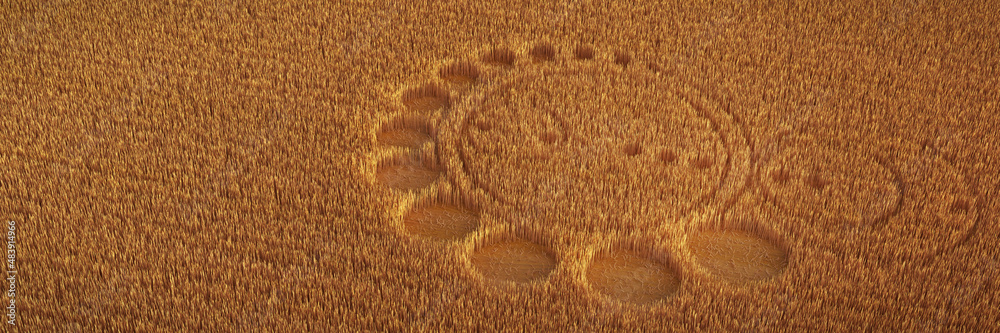 field with alien crop circle formation, background banner - obrazy, fototapety, plakaty 
