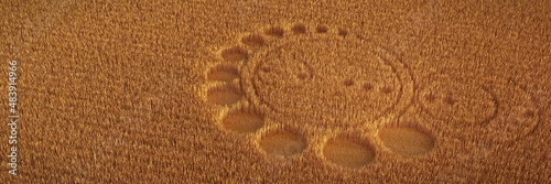 field with alien crop circle formation, background banner