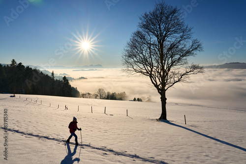 woman, snowshoeing in sunset in the Bregenzer Wald area of Vorarlberg, Austria with spectacular view on Mount Saentis, Switzerland